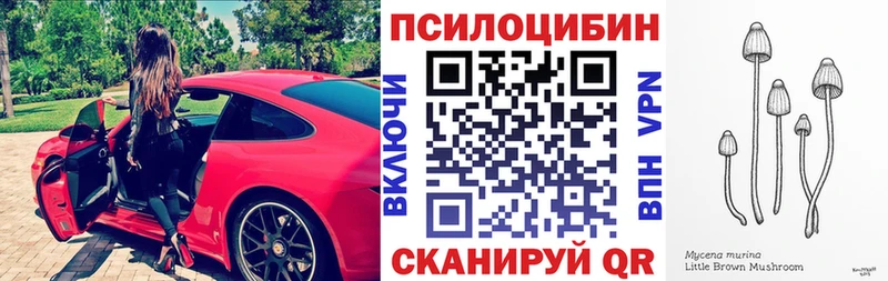 Псилоцибиновые грибы Psilocybe где продают Солнечногорск
