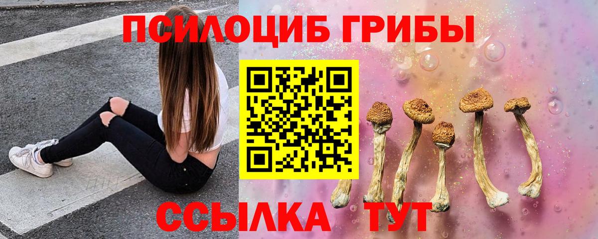 Псилоцибиновые грибы MAGIC MUSHROOMS  Вход с VPN  Солнечногорск 